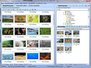 bilder sortieren windows 7